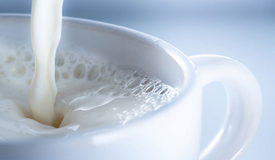 Mitos e Verdades Sobre Alergia a Proteína do Leite de Vaca